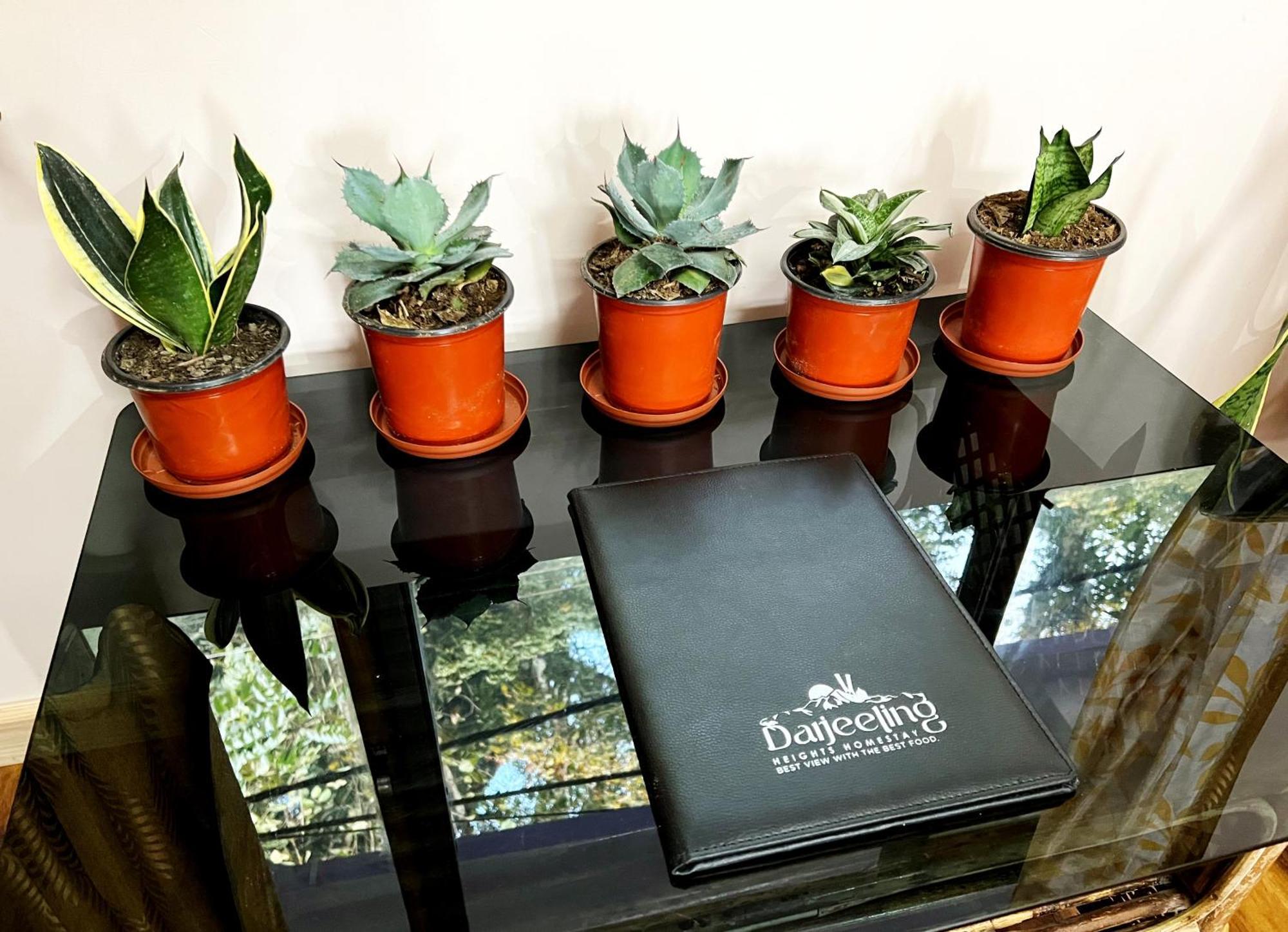 Darjeeling Heights - A Boutique Mountain View Homestay Szoba fotó